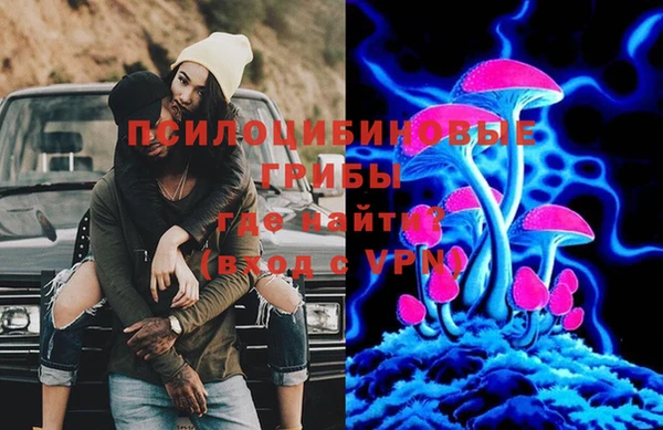 ПСИЛОЦИБИНОВЫЕ ГРИБЫ Алексин