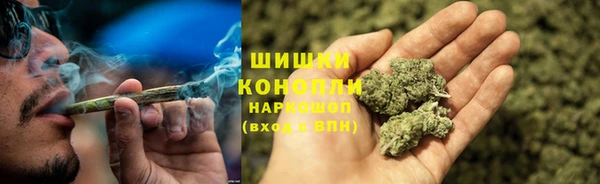 ПСИЛОЦИБИНОВЫЕ ГРИБЫ Алексин