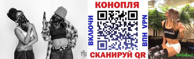 Марихуана сатива  купить наркоту  Наволоки 